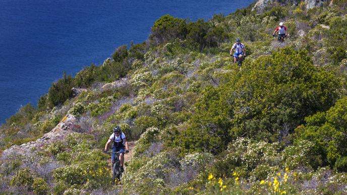 Capo Sant’Andrea ist ein guter Ausgangspunkt für Ausflüge in das Gebirge des Capanne und zur nahe gelegenen Küste. Vor allem im späten Frühling, wenn die Mittelmeermacchia in voller Blüte steht.