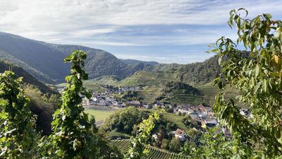 Der Rotweinwanderweg verbindet über 36 Kilometer die Weinorte des Ahrtals und bietet schöne Aussichten im Überfluss. 
