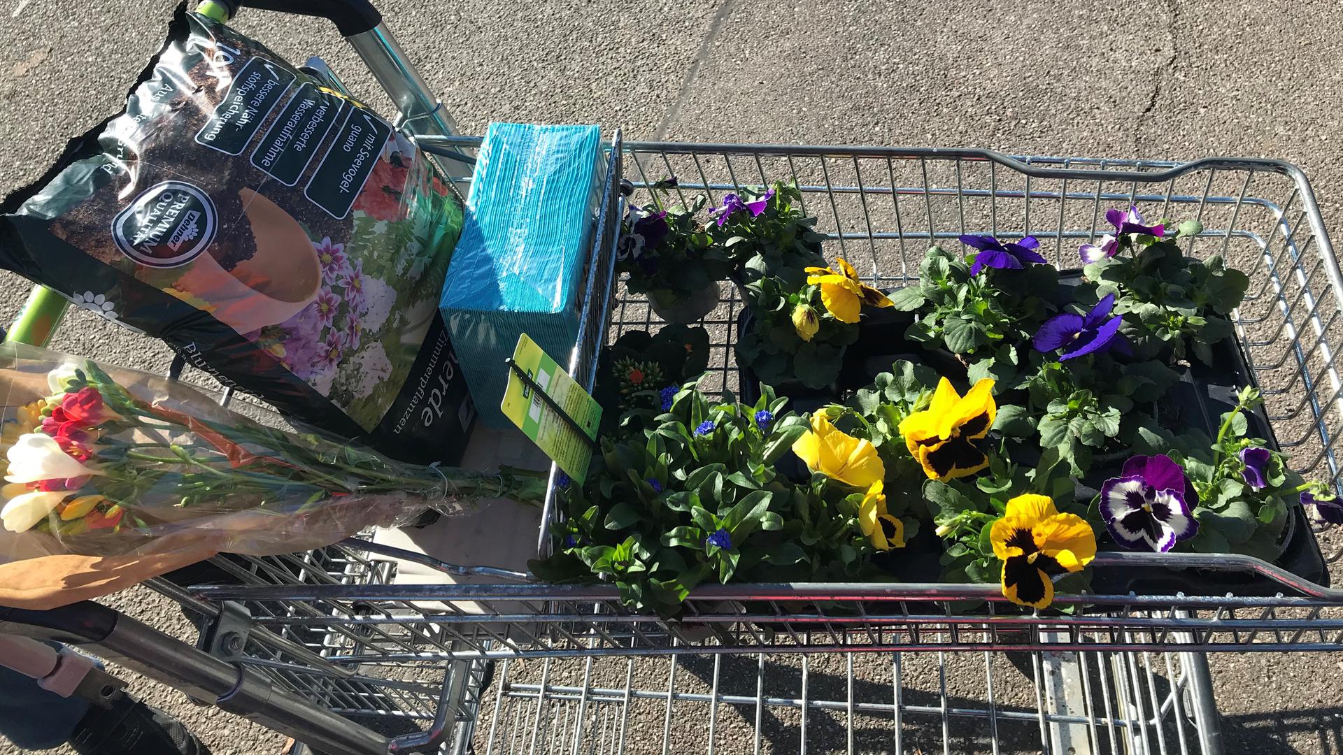 Einkaufswagen mit Blumen und Blumenerde