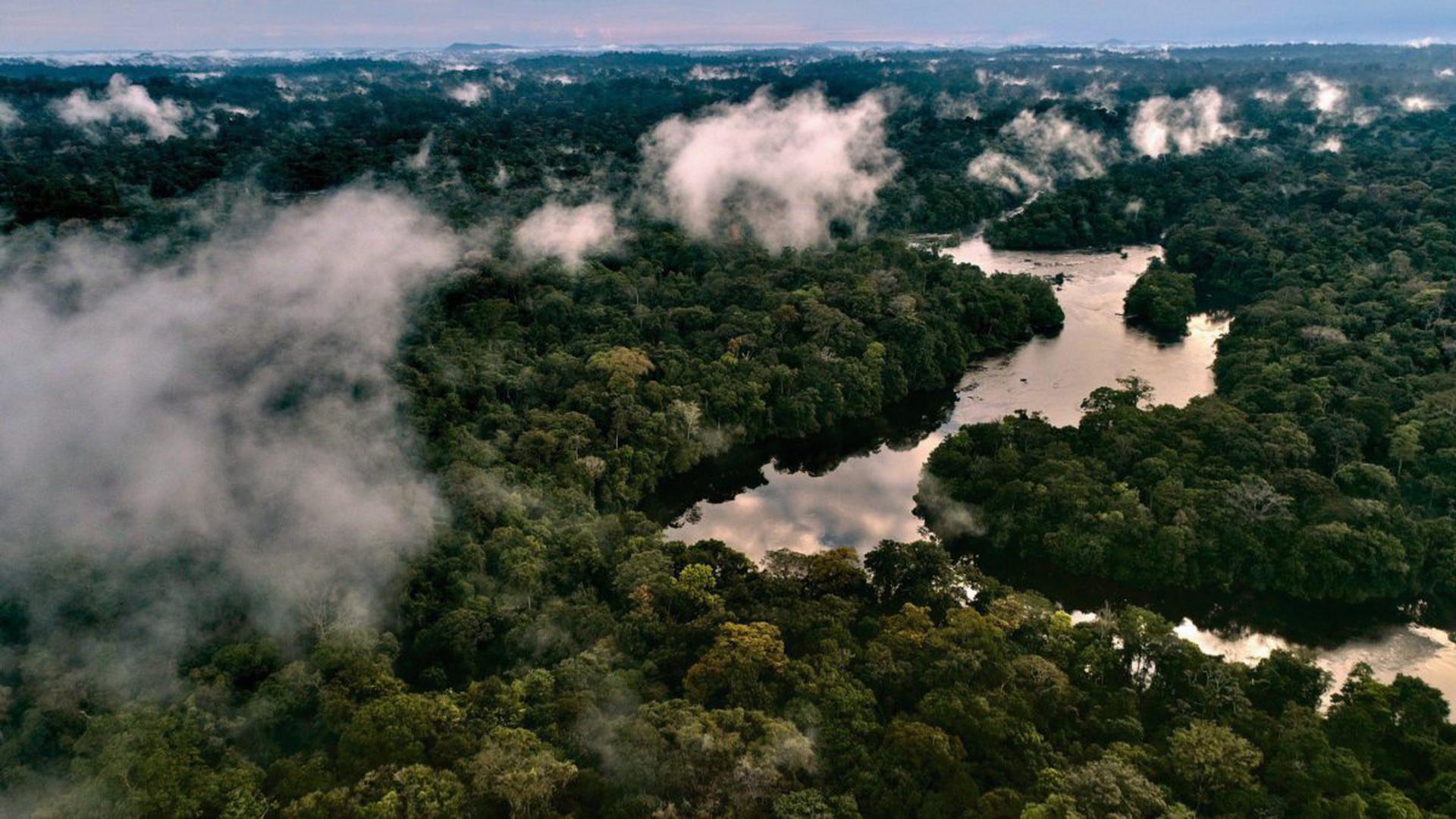 Blick auf das gigantische Flusssystem des Amazonas; Drohnenaufnahme.
