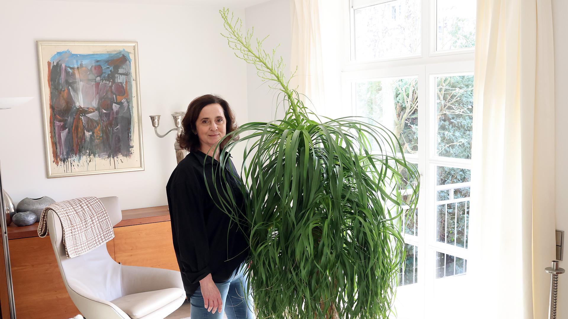 Eine Frau steht neben einer ihre Größe überragenden, grünblättrigen Pflanze.