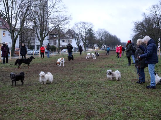 Hundebesitzer mit ihren Hunden in der umzäunten Auslauffläche an der Hildapromende in der Karlsruher Weststadt