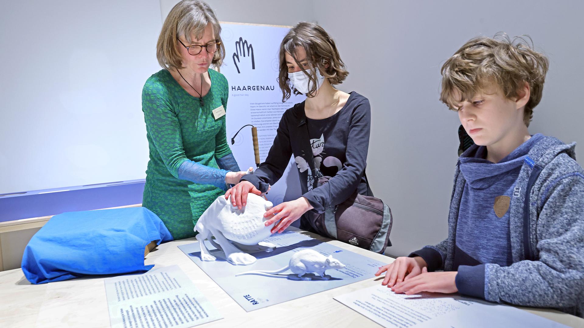 Zwei Frauen und ein Junge stehen im Naturkundemuseum Karlsruhe an einem Tisch.