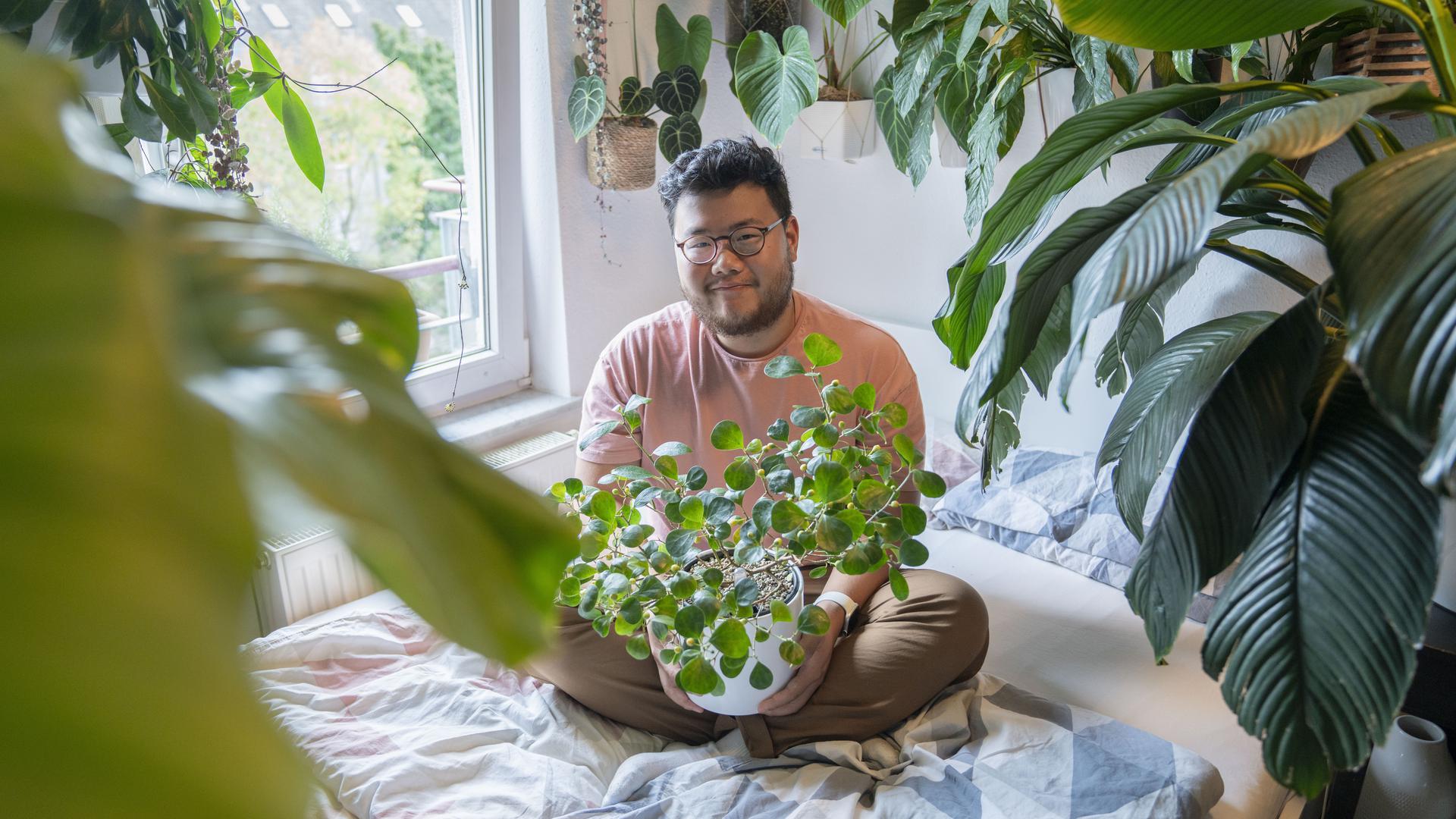 Kevin Qiu in seinem „Urban Jungle“ mit seiner aktuellen Lieblingspflanze, einem Ficus deltoidea. 