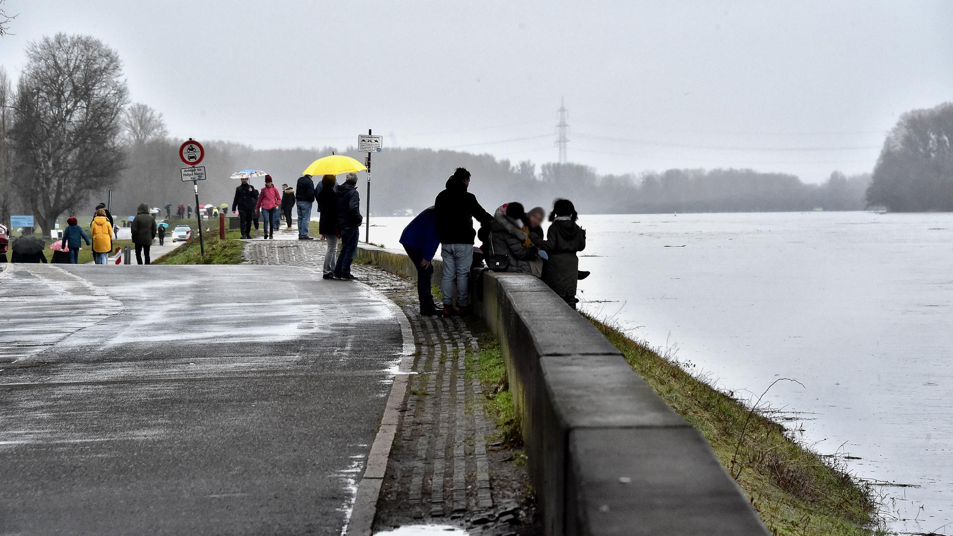 30.01.2021 Hochwasser bei der Rheinbrücke Maxau
