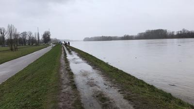 Menschen spazieren auf einem Damm des Rhein bei Karlsruhe.