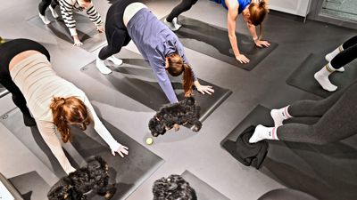Welpen-Yoga in Karlsruhe