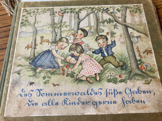 Buchdeckel eines Bilderbuches mit in Sütterlin geschriebenem Titel und einer Zeichnung von Kindern im Wald, die an Erdbeeren naschen.
