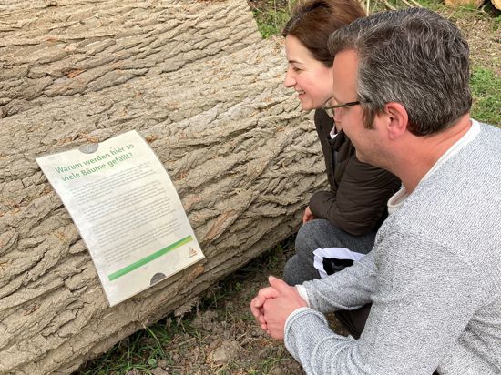 Erklärung vor Ort: Bei der Untermühlsiedlung in Karlsruhe sind Anfang 2022 viele Bäume gefällt worden, aus unterschiedlichen Gründen. Die Stadt hat laminierte Blätter mit Informationen dazu an liegende Stämme angeheftet. Ein Paar liest die Erläuterungen.