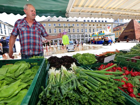 Obst- und Gemüsehändler Egon Wirsz besprüht Salat und Radieschen mit Wasser.