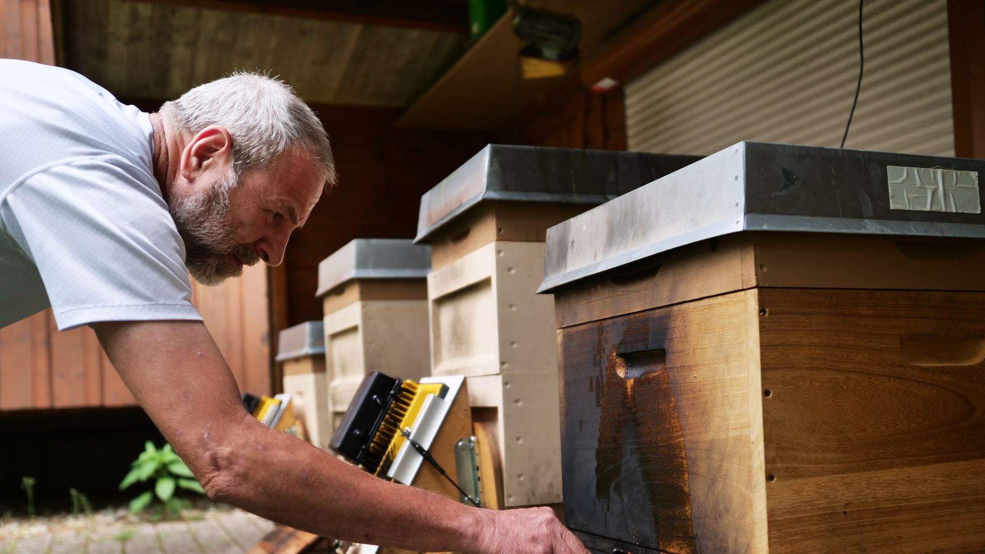 Ulrich Steiert beim Betrachten des Schadens an den Bienenstoecken
Brandanschlag auf Bienenvoelker im Hardtwald
