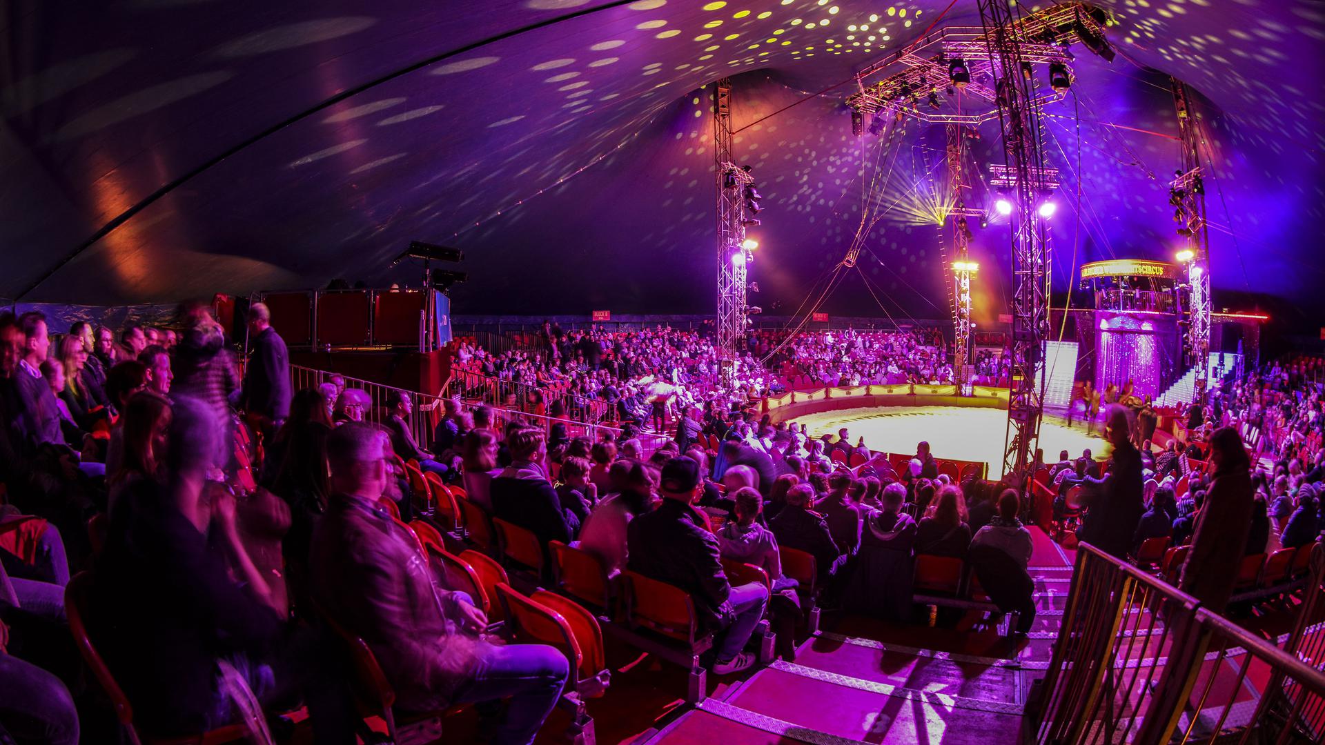 Insgesamt bietet das Zelt rund 1.400 Besuchern einen Sitzplatz im Circuszelt und ist damit größer als ein gängiges Tourneezelt. Die Manege ist allerdings ganz klassisch gehalten und hat einen Durchmesser von rund 13 Metern.