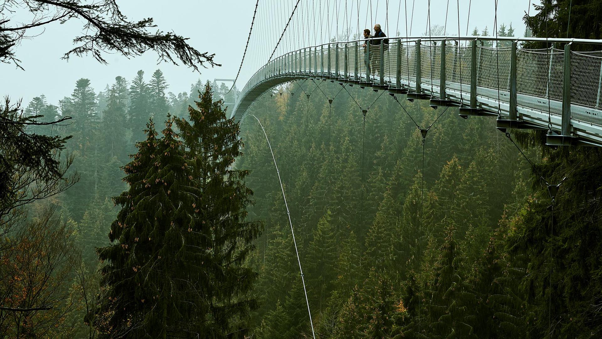 Ein Wanderer-Pärchen steht im Herbst auf der Hängebrücke Wildline auf dem Bad Wildbader Sommerberg.