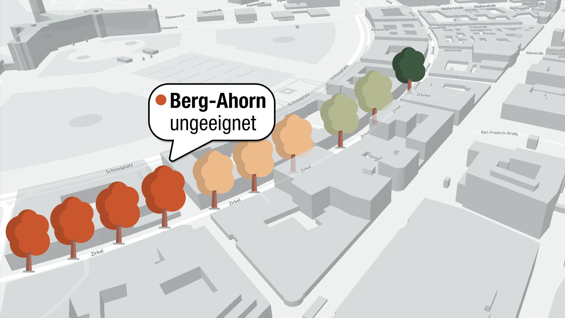 Eine interaktive Karte zeigt, wo in Karlsruhe die Problembäume stehen.