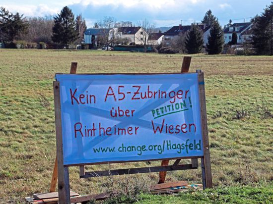 Der Widerstand gegen den Bau einer Straße auf der Grünfläche zwischen Hagsfeld und Rintheim wird größer.