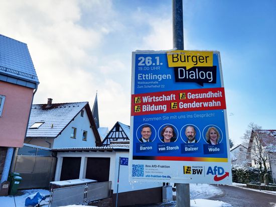 Plakatiert ist der „Bürgerdialog“ der AfD am 26. Januar in der Waldsaumhalle in Ettlingen-Oberweier. Namhafte Politiker der Partei sind angekündigt. Allen voran die stellvertretende Bundestagsfraktionsvorsitzende Beatrix von Storch.