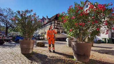 Bauhof-Mitarbeiterin Silke Ungermann gießt Blumenkübel in der Ettlinger Innenstadt
