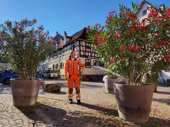 Bauhof-Mitarbeiterin Silke Ungermann gießt Blumenkübel in der Ettlinger Innenstadt