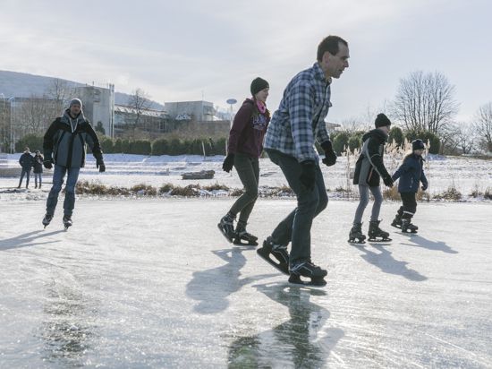 Wintervergnügen für die ganze Familie: Schlittschuhläufer und viele Spaziergänger zog es am Sonntagnachmittag in den Ettlinger Horbachpark.
