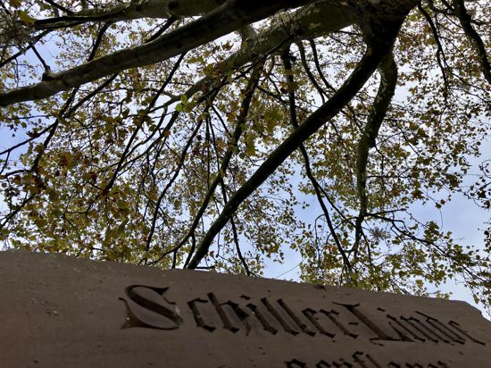 An der Kreuzung von Pforzheimerstraße und Schillerstraße unterhalb des Lauerturms preist der Schiller-Stein die Schiller-Linde, die die Ettlinger Bürger an dieser Stelle 1859 gepflanzt haben. Eine Linde gibt es dort aber weit und breit nicht, über dem Stein thront eine Platane.