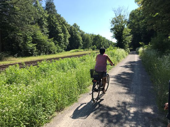 Beliebte Verbindung: Von Bulach entlang der Bahn über den Kutschenweg zum Epplesee. Manche Radfahrer hätten gerne statt Splitt Asphalt auf der Strecke. 