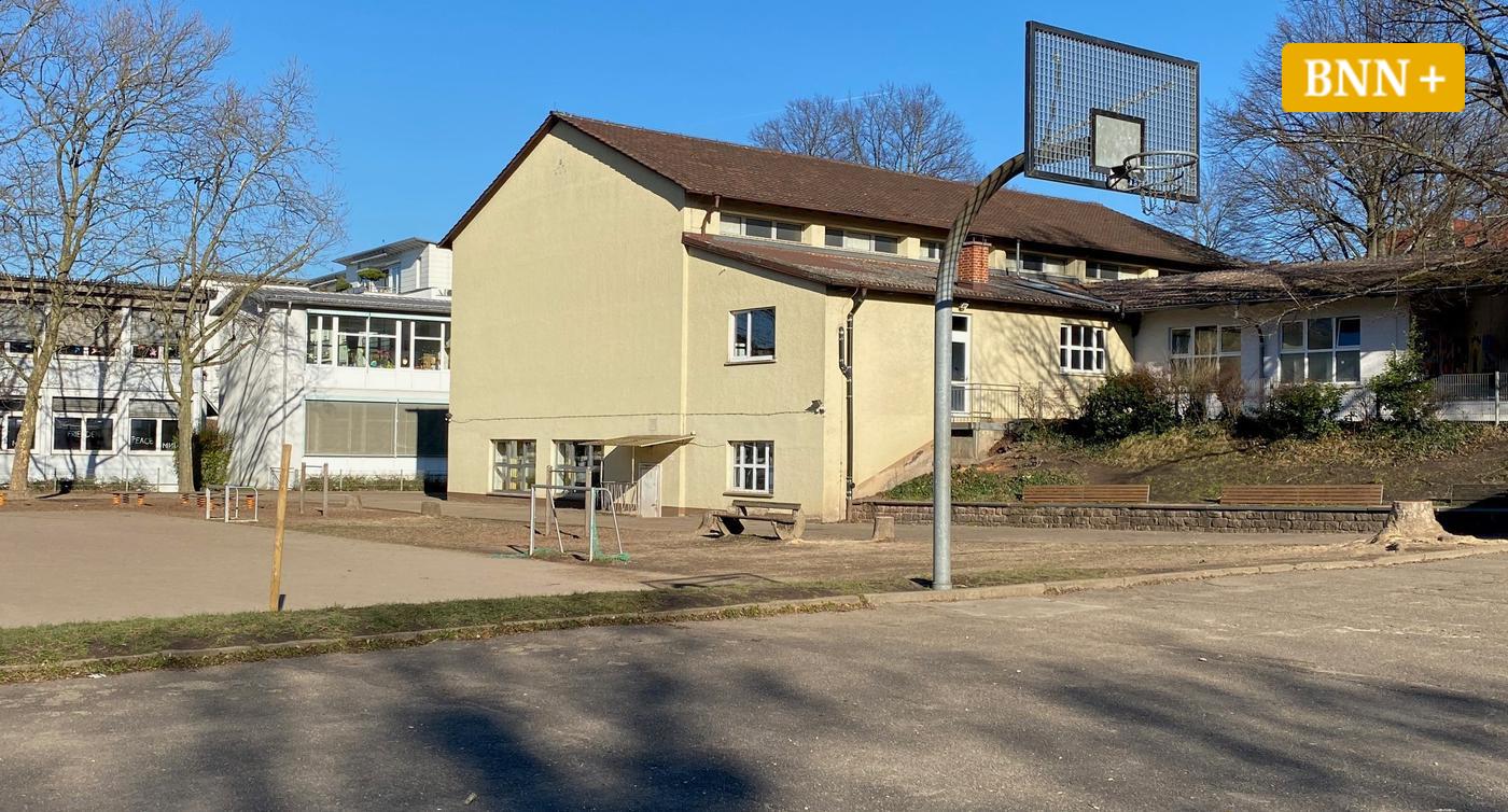 Warum-an-der-Schillerschule-Ettlingen-acht-gro-e-B-ume-weg-m-ssen