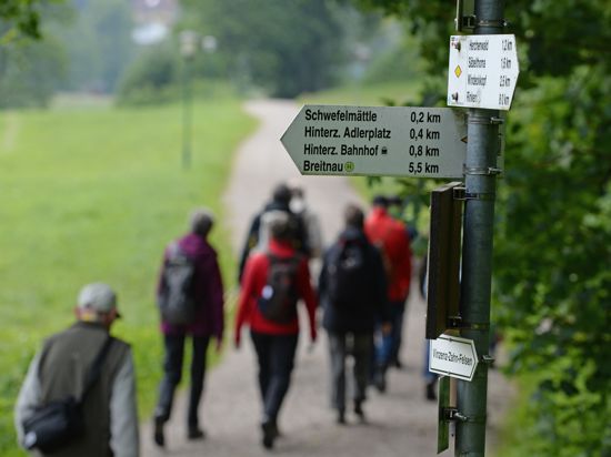 Teilnehmer einer geführten Wanderung laufen am 19.06.2015 bei Hinterzarten (Baden-Württemberg) an Hinweisschildern vorbei. Am Samstag (20.06.2015) findet die jährliche Jahreshauptversammlung des Schwarzwaldvereins in Gengenbach statt. 