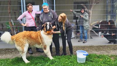 Drei Frauen mit großem Hund in Tiergehege
