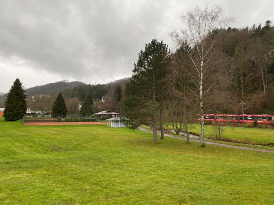Will sein Sportareal nicht abgeben: Der Tenniclub Bad Herrenalb lehnt eine Bebauung der Schweizerwiese ab.  