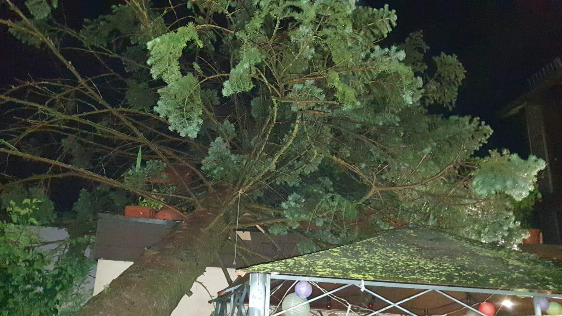 Baum stürzt auf Wohnhaus in Bietiegeim