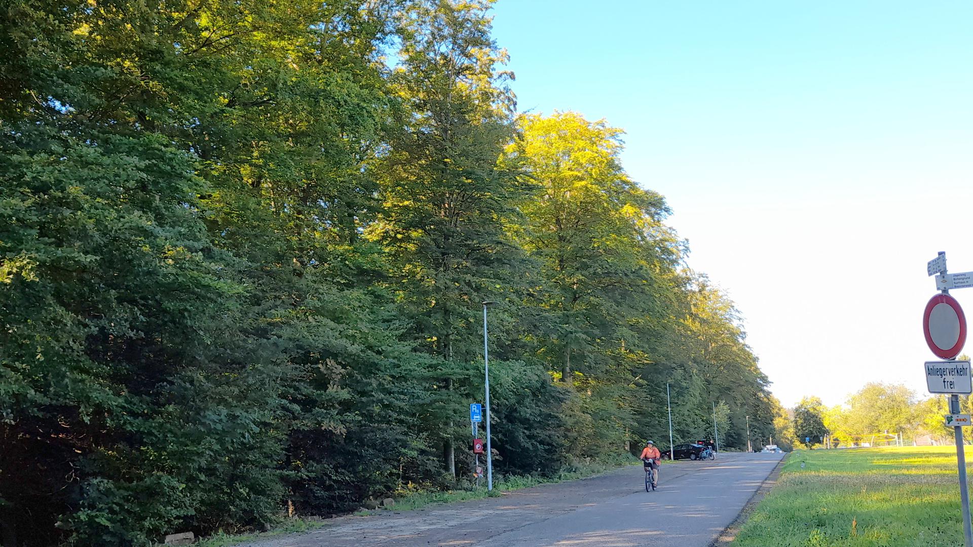 Um ein mögliches Baugebiet am Waldrand in der Höhenstraße geht es beim ernsten Bürgerentscheid in Dobel am Sonntag, 24. September.