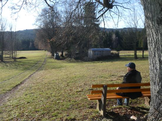 Mann sitzt auf einer Bank und schaut über eine Wiese. 