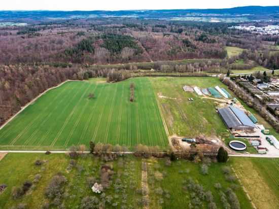 Angrenzend an das Areal eines Schafszuchtbetriebes im Gewann Hamberg in Spielberg, soll auf einer Fläche von rund 7,5 Hektar (grüne Fläche mit durchgezogenen Linien) eine Photovoltaikanlage angelegt werden.