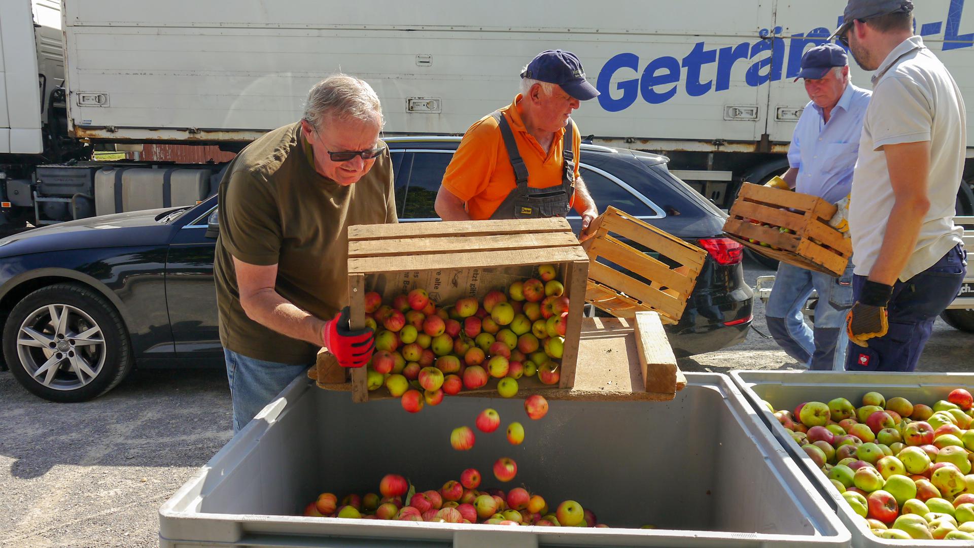 Männer kippen Äpfel aus kleinen Holzkisten in größere Sammelcontainer.