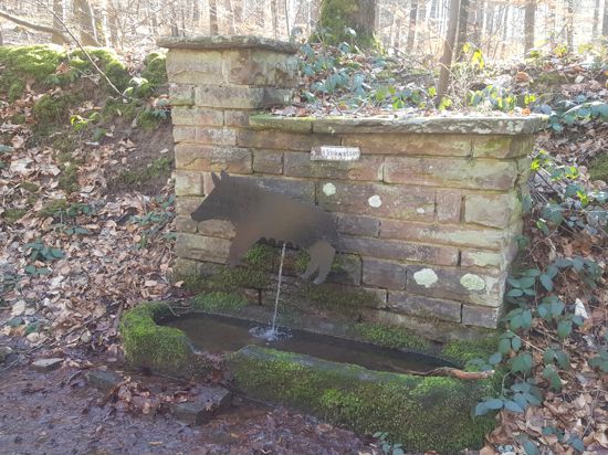 Der Saubrunnen erinnert an die Schweinemast im Burbacher Wald