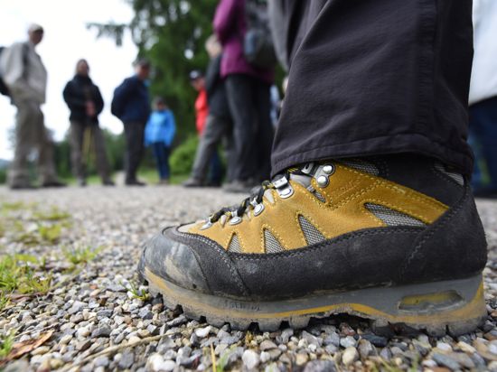 Der Wanderschuh eines Teilnehmers einer geführten Wanderung ist am 19.06.2015 bei Hinterzarten (Baden-Württemberg) zu sehen. Am Samstag (20.06.2015) findet die jährliche Jahreshauptversammlung des Schwarzwaldvereins in Gengenbach statt.
