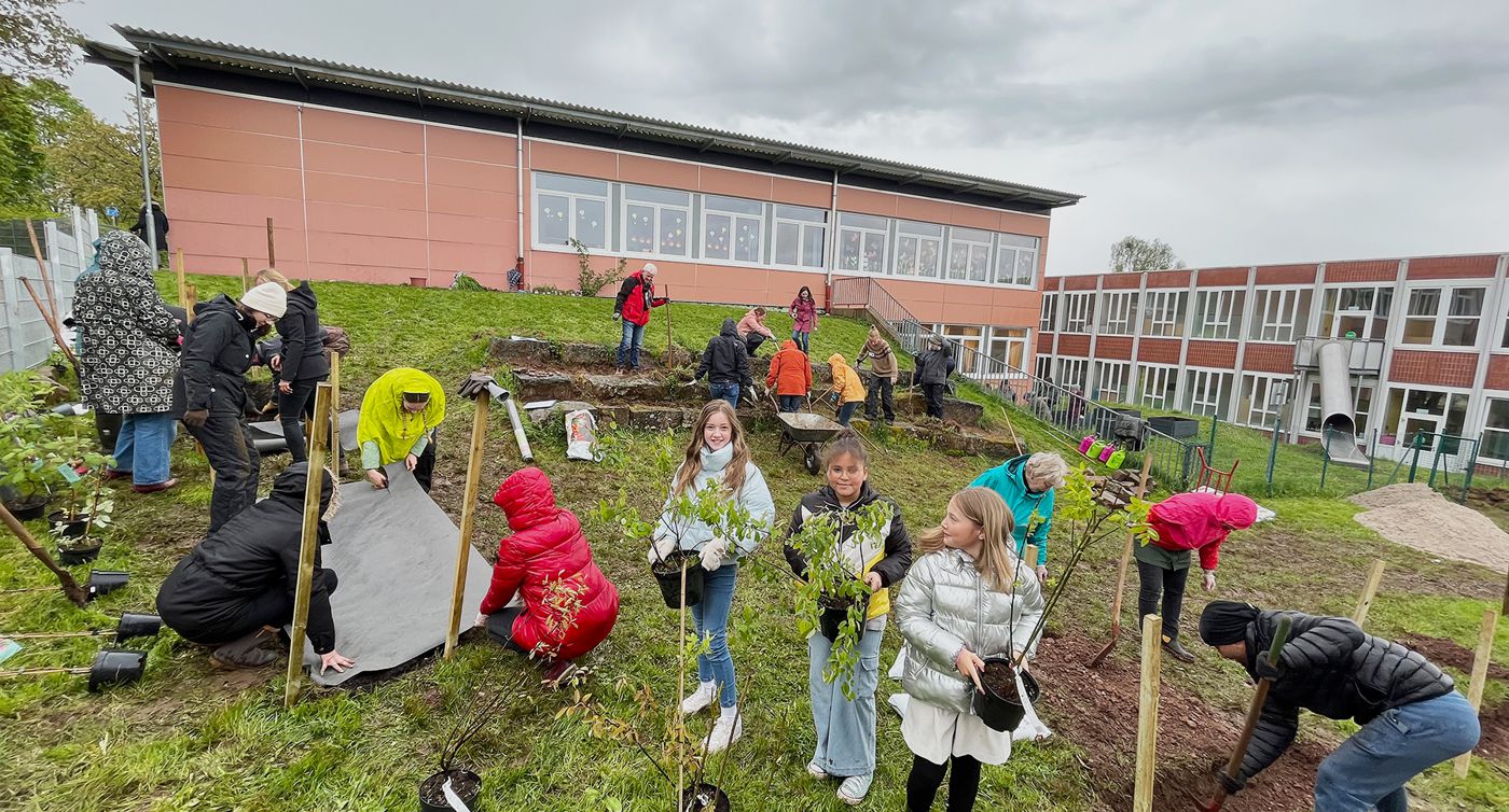 Die Viertklässlerinnen Theresa, Stella und Hannah (Mitte) von der Carl-Benz-Schule in Pfaffenrot freuen sich schon auf den Schulgarten am steilen Hangstück, das rund 30 Erwachsene für Einpflanzungen vorbereiten.