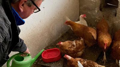 Über das Trinkwasser verteilt Zuchtwart Uwe Schink vom Kleintierzuchtverein Pfaffenrot einen Impfstoff, der die Hühner vor der Newcastle-Krankheit schützen soll. 