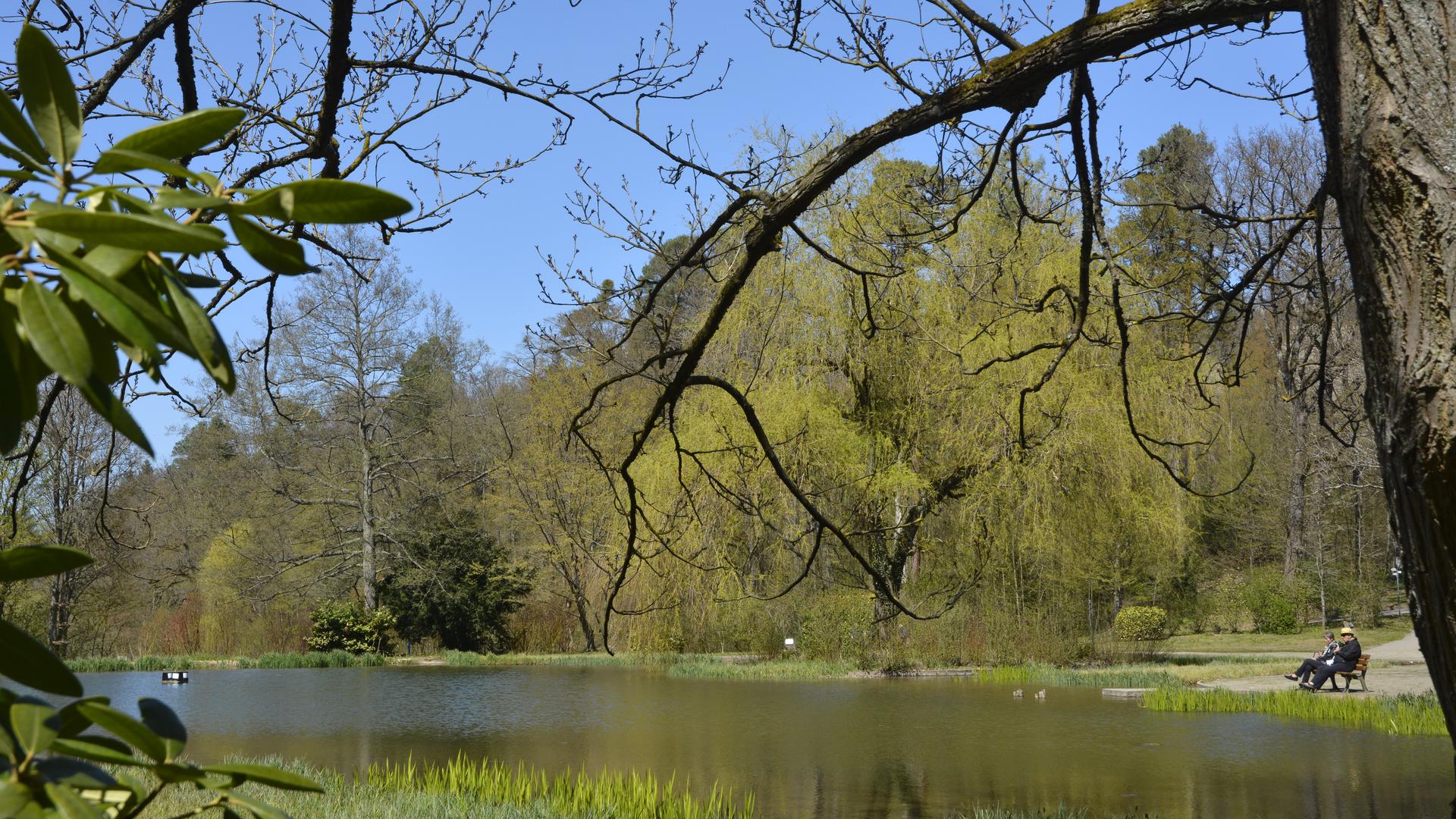 Ein Idyll: der See im Kurpark von Waldbronn.