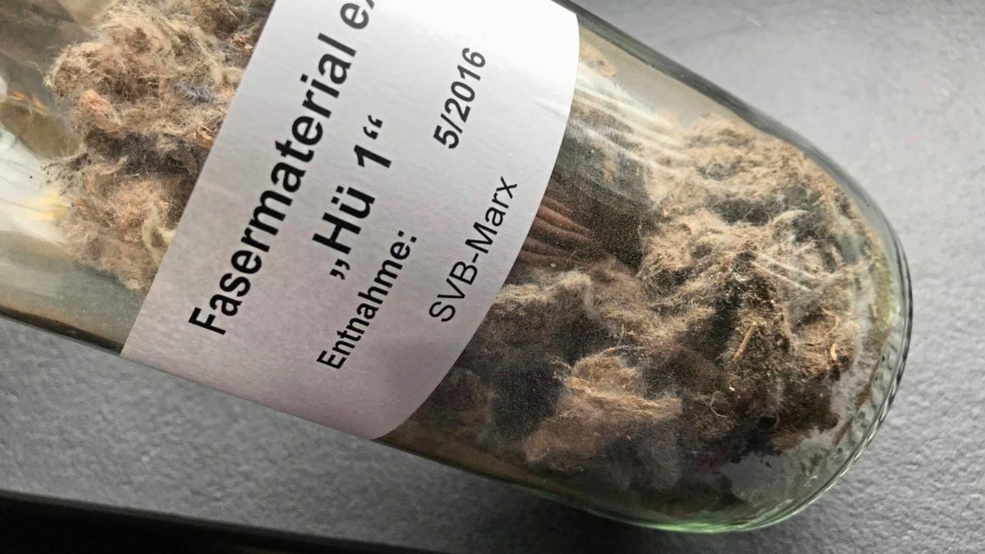 Die Fasern, die Hans-Norbert Marx auf einem Acker in Hügelsheim gefunden haben will.