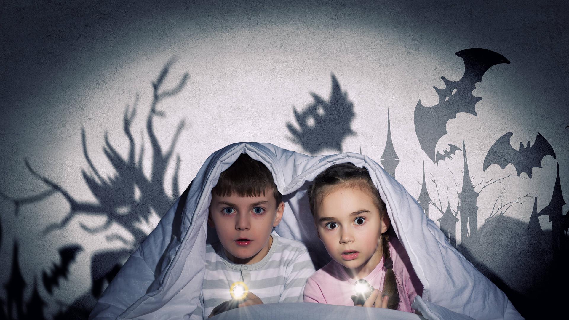 Zwei Kinder sind aus einem Alptraum erwacht und fürchten sich vor Monstern, leuchten mit Taschenlampen in die Dunkelheit. 