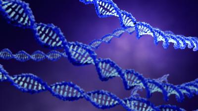 Vier blaue DNA-Stränge vor violettem Hintergrund