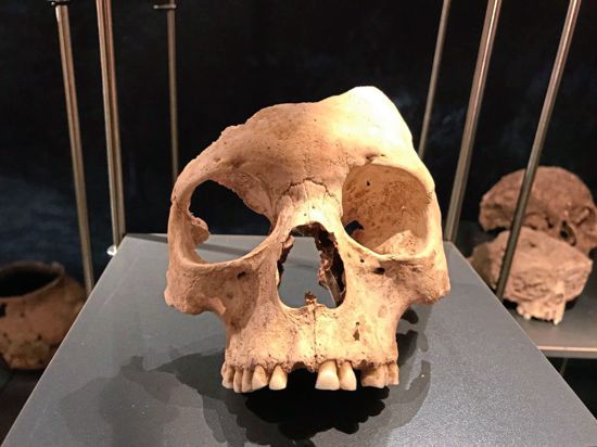 Gab es vor 7.000 Jahren in Herxheim Kannibalen? Darüber streiten die Forscher.
