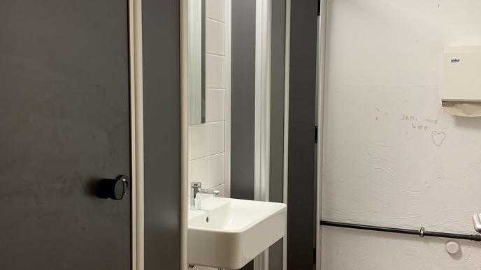 Die Unisex-Toilette wurde zuvor als Besuchertoilette genutzt. Es gibt zwei Kabinen.