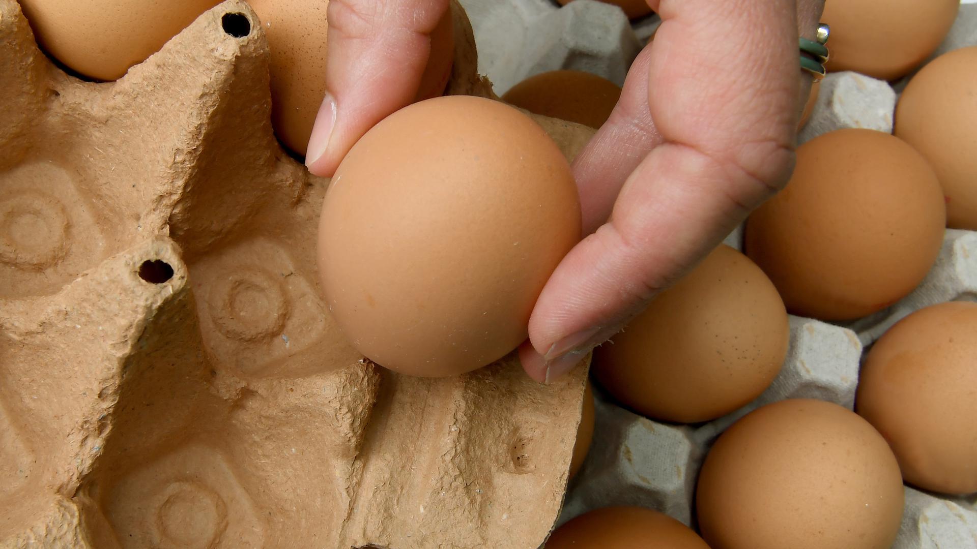 Eier werden von einer Palette in eine Pappschachtel verpackt.