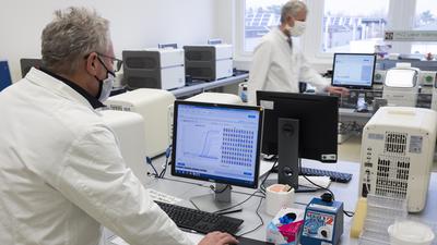 Hohe Arbeitsbelastung: Die Labomediziner Bernhard Miller (links) und Michael Elgas haben derzeit alle Hände voll zu tun. Hier werten sie gerade PCR-Tests am Monitor aus.