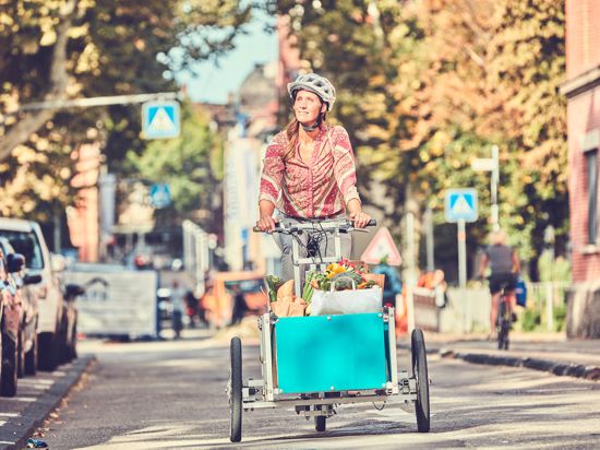 Eine Frau fährt mit einem Lastenrad durch eine Straße. Sie transportiert damit ihren Wocheneinkauf mit Obst und Gemüse.