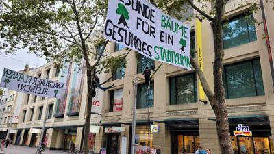 Aktivisten in vier Platanen in der Karlsruher Innenstadt