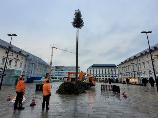 Der Weihnachtsbaum auf dem Karlsruher Marktplatz musste seine Äste lassen und wird bald zum Narrenbaum.