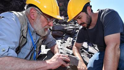 Jörg Schneider (l),Paläontologe von der Bergakademie Freiberg, und Joao Ricetti (r), Student aus Santa Catarina in Brasilien, betrachten einen Fund bei Ausgrabungen im Steinbruch Tabarz. Bei den Ausgrabungen wurde ein noch nicht fertig entwickeltes Insekt gefunden, das es laut Mitteilung so weltweit nur zweimal gibt. Des Weiteren wurden etwa 30 weitere Insekten-Überreste, Branchiosaurier, Muschelkrebse und Pflanzen entdeckt. +++ dpa-Bildfunk +++